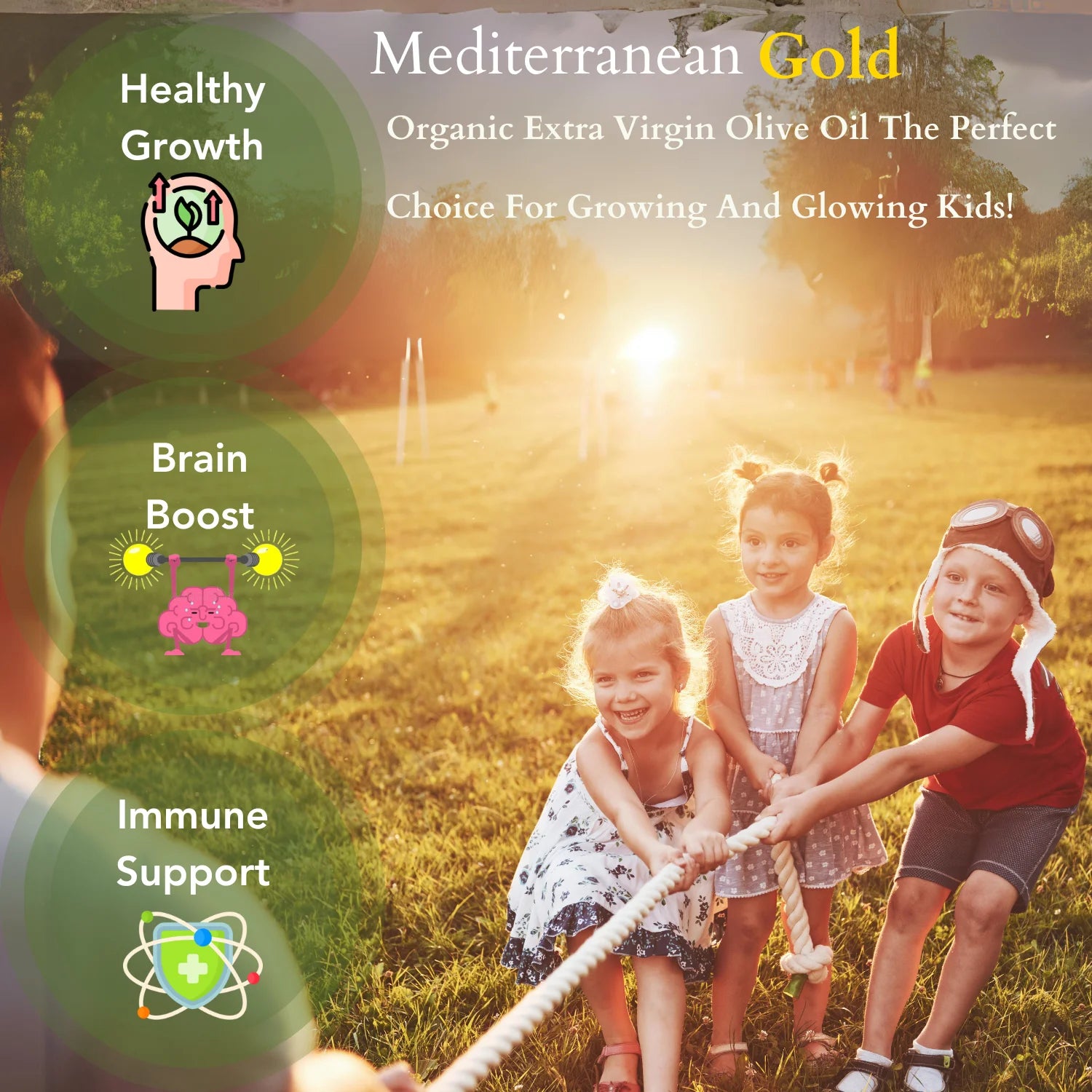 Organic Extra Virgin Olive Oil Cold Pressed 12.68 FL - Mediterranean Gold