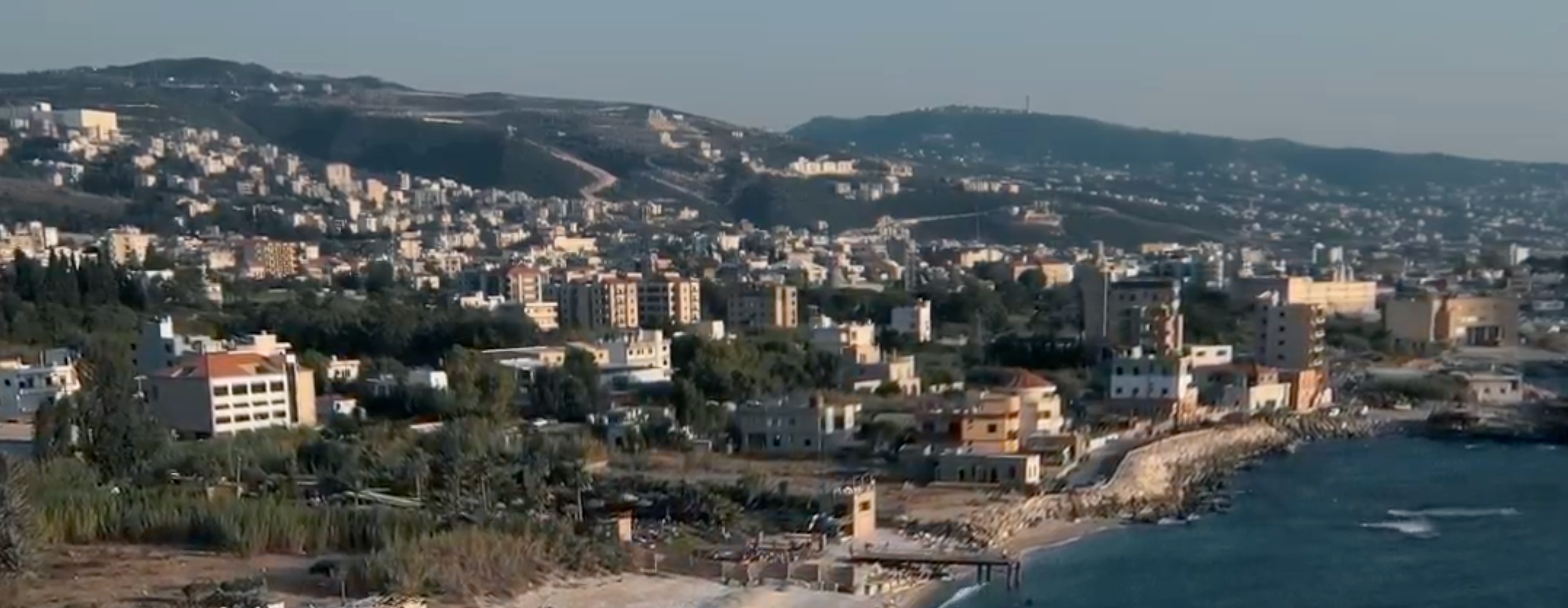Cold Pressed Olive Oil from Lebanon